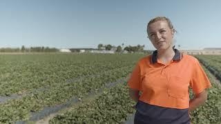 Queensland Farm Management and Training Workers Stories 2