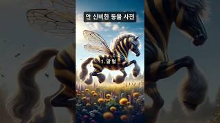 안 신비한 동물 사전 1탄