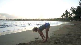 The Basics of Surya Namaskara A Sun Salutation A