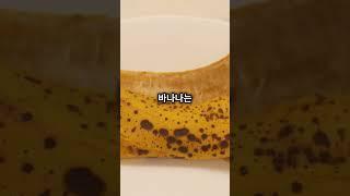 바나나의 놀라운 효능과 부작용!