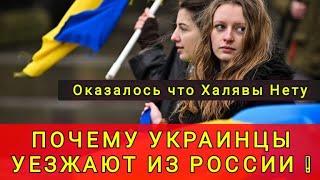 ПОЧЕМУ УКРАИНСКИЕ БЕЖЕНЦЫ УЕЗЖАЮТ ИЗ РОССИИ ОКАЗАЛОСЬ ХАЛЯВЫ ТАМ НЕТУ