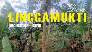 Suasananya Bikin Betah DESA LINGGAMUKTI SUCINARAJA GARUT