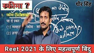 स्कीमा क्या है || धीर सिंह sir || Schema Concept By Dheer singh sir psychology Expert || Reet 2021