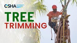 Tree Trimming Safety Training | Stay Safe While Trimming & Cutting Trees | OSHA Outreach Courses