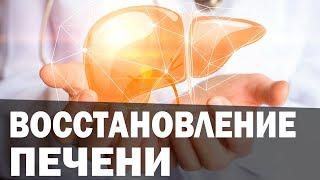 Повышенная ПИТТА и болезни печени. Аюрведа Здесь