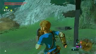 How to Durability transfer all weapons, bows, and sheilds in BOTW.