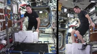 Space Station fitness