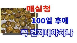 매실청 100일후에 건져내야 하나