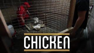 Chicken | How to Make Everything: Sandwich (7/12)