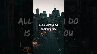 Adore You - Bryant Barnes (Lyric Video) #shorts #lyrics #songsthathithard