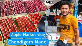 Apple season Chandigarh market Vlog How does Himachal apple reach the market | Apple business