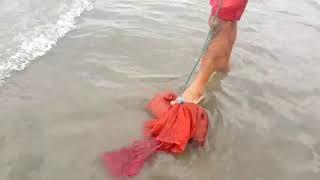 Leonil :Minhoca de praia !!!