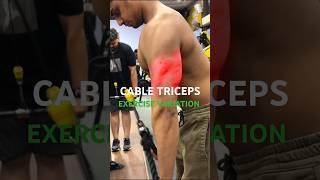 CABLE TRICEPS VARIATIONS (KNOW THE DIFFERENCE)