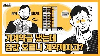 가계약금 냈는데 계약 파기?| 계약금 2배 돌려받나| 부동산 광풍