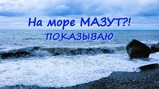 Мазут в Лазаревском?! Как спасать птиц, куда звонить? Море, погода в начале января