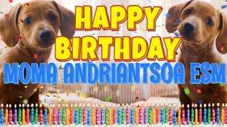 Happy Birthday Moma Andriantsoa Esm! ( Funny Talking Dogs ) What Is Free On My Birthday