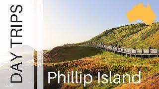 Melbourne Day Trips: Phillip Island