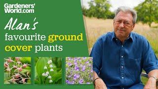 Five ground cover plants I LOVE | Alan Titchmarsh