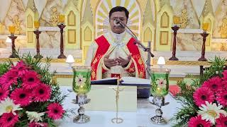 Holy Mass November 08 Friday  5.30 AM I Malayalam I Syro Malabar I Fr Bineesh Augustine