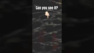 Will This Ever Stop?