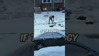 This dog loves helping with snow ️