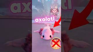 Tutorial on how to make an AXOLOTL *without VIP* in Dress To Impress!