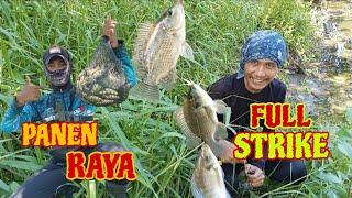 EDYAANN..!! Mancing Disini Panen Strike Sampe Kewalahan Narik Ikan Terus [] Full Strike Full Senyum