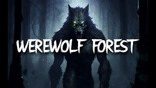 WEREWOLF AMBIENCE | 3 HOURS OF SPINE CHILLING AMBIENCE | FOR D&D, STORYTELLING, WORK, STUDY