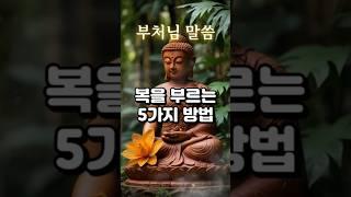 부처님말씀-복을 부르는 5가지 방법 #부처님 #부처님말씀 #부처님명언 #부처님의지혜 #shorts
