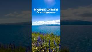 Мудрые цитаты#жизнь#цитатыпрожизнь#рекомендации#мышление#вдохновение #любовь#motivation#саморазвитие