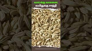 Saunf (Fennel Seeds) Benefits  | Boost Digestion, Cleanse Body, and Freshen Breath Naturally!