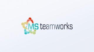 MS Teamworks Promo Update 2024