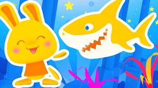 Baby Shark | Chansons Danses Bébé Enfants | Comptines Titounis