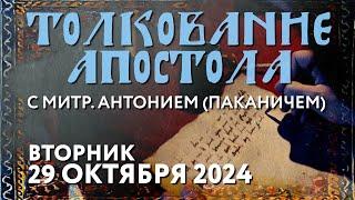 Вторник, 29 октября 2024 года. Толкование Апостола с митр. Антонием (Паканичем).