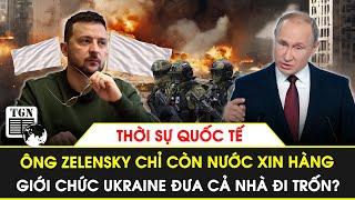 Thời sự Quốc tế | Ông Zelensky chỉ còn nước xin hàng, giới chức Ukraine đưa cả nhà đi trốn?