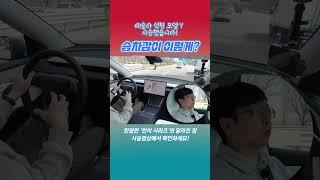 테슬라 뉴 모델 Y, 승차감이 예술 #테슬라 #모델y #런치시리즈 #이미완판