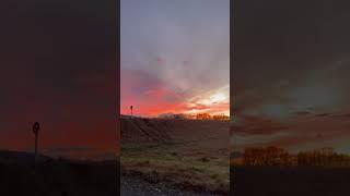 House less is give us nature gift.#New Zealand#tentlife #houseless #sunrise #nature