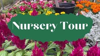 Our FULL Nursery Tour - Building a Nursery Business from nothing.