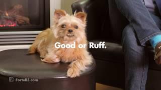 'We buy houses in any condition, Good or Ruff!' - Forte Commercial by Snickers