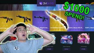 I Spent $1000 On This CS2 Case Opening Site! Insane Skins Won!