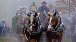 Leonhardifahrt Bad Tölz isarkai 2024 | Fest in Bavaria | Place's to visit in Bayern  | Janu German