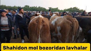 Shahidon mol bozori ģunajinlar VA sigirlar narhlari bilan tanishing 22.10.2024yil