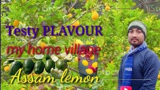 ## Assam lemon juice my village home? Bj vlogs #