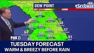 Tampa weather | Breezy & warm ahead of cold front