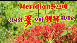 Meridian#행복을주는음악