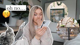 REACTING TO MY SUBSCRIBERS BIRD CAGES | PART THREE