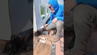 Wood Rot On Wall Repair