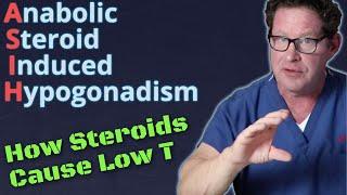 How Steroids Cause Low T - Anabolic Steroid Induced Hypogonadism (ASIH)