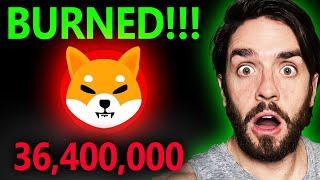 HUGE WHALE BURNS SHIBA INU COINS!!!! #SHIBAINU #SHIB #SHIBACOIN