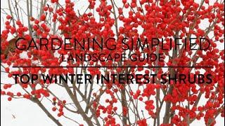 Gardening Simplified - Top Winter Interest Shrubs